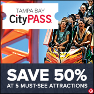 Save 50% at 5 Must See Attractions