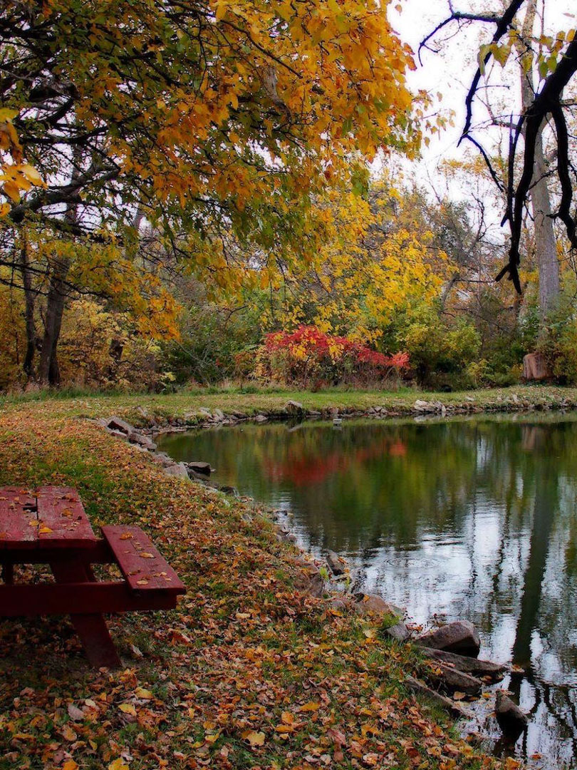 Sarpy County Travel Guides Free