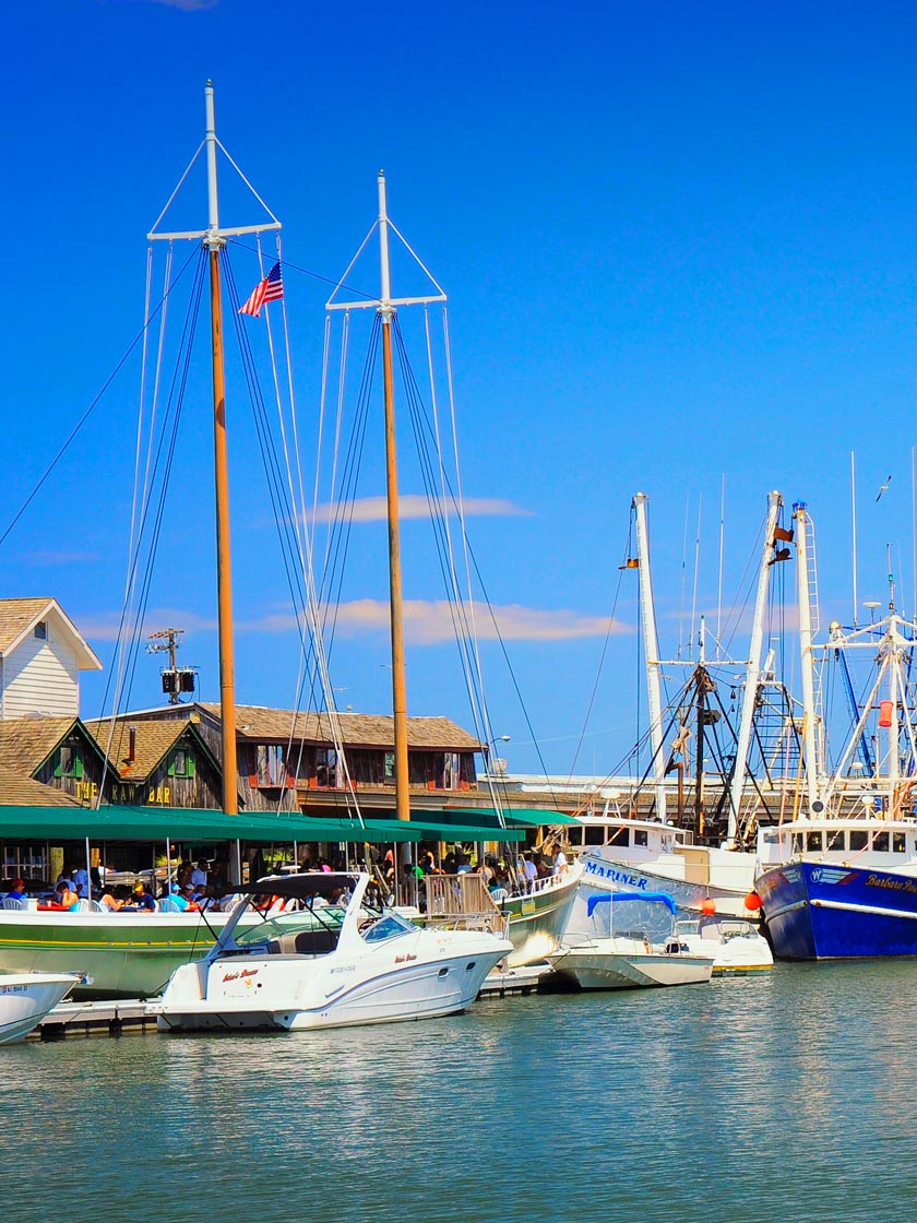 Recreational & Commercial Fishing Boats, near the Schooner and Lobster House Restaurant, Cape May, NJ