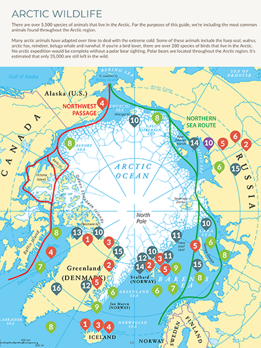 Arctic Map for Polar Cruise